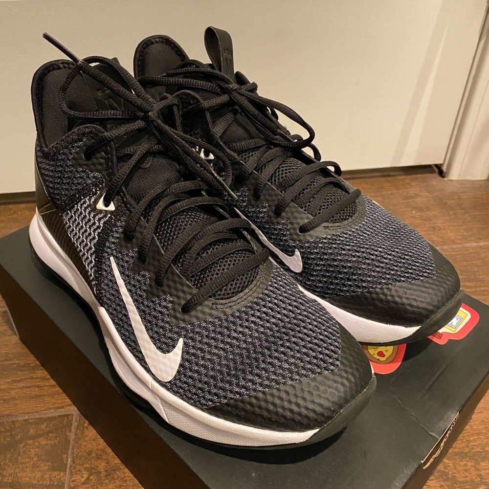 Lebron Witness 4 Basketball Shoes